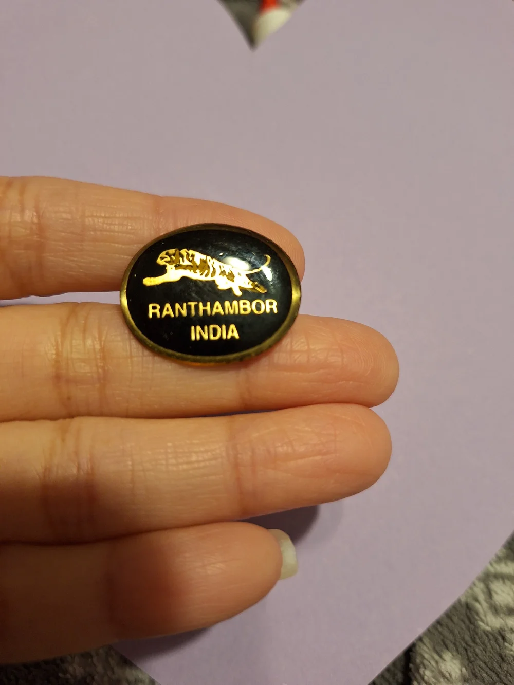 Ranthambhor India National Park Tiger Souvenir Enamel Lapel Brooch Pin